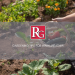 gardening tips for warm weather7 summer home maintenance tips the remakel group realtor prescott arizona