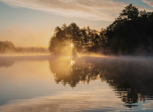 calm, alert, and balanced how cfdt supports nervous system regulation