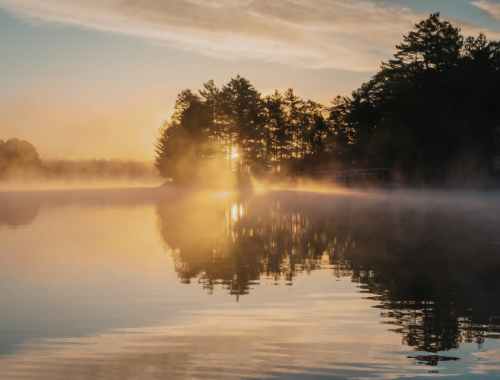 calm, alert, and balanced how cfdt supports nervous system regulation