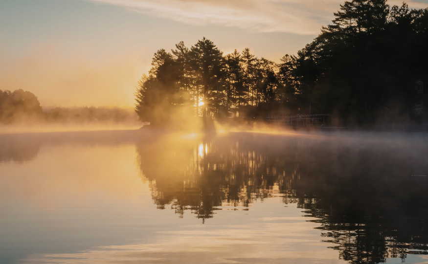 calm, alert, and balanced how cfdt supports nervous system regulation