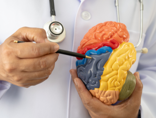 podcast – jen beyst the cognitive function development institute