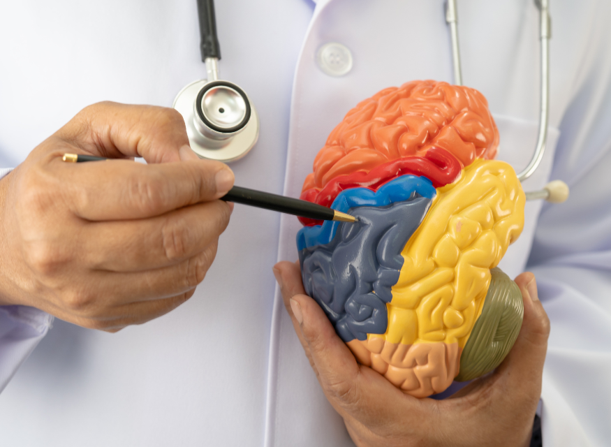 podcast – jen beyst the cognitive function development institute