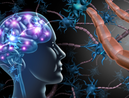 the brain’s building blocks how cfdt strengthens primary cognitive functions