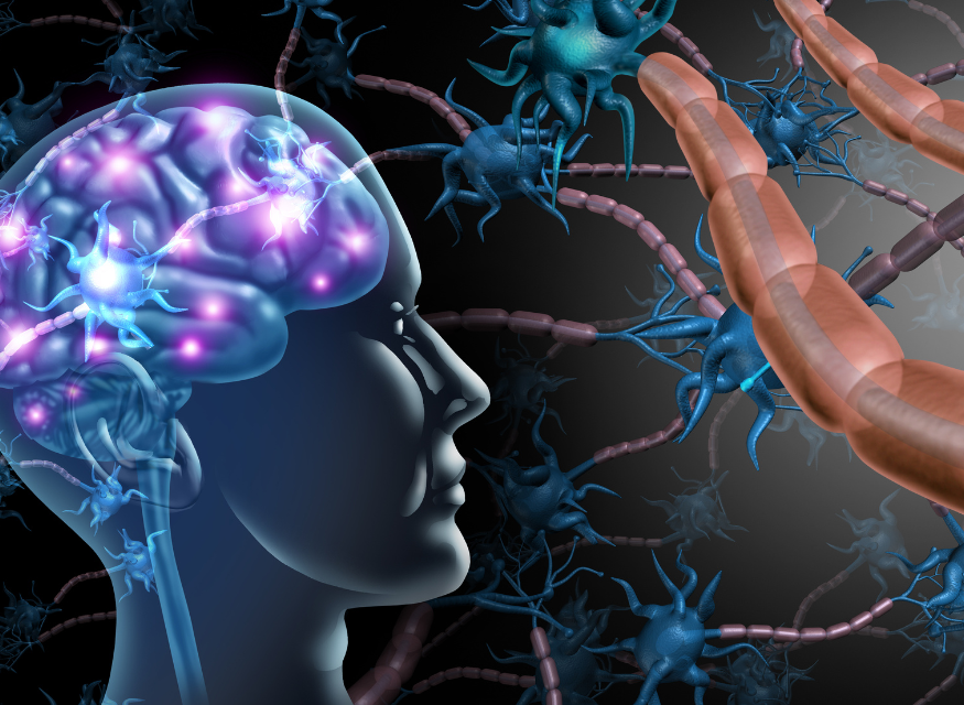 the brain’s building blocks how cfdt strengthens primary cognitive functions